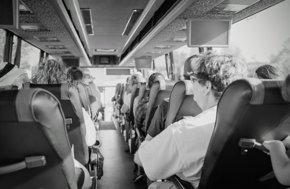 How to Choose a Bus for a Wedding Ceremony screenshot 24 - How to Choose a Bus for a Wedding Ceremony