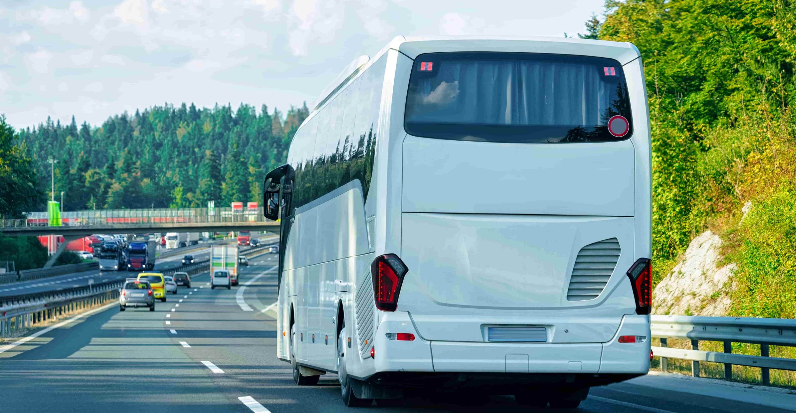 belyi turisticeskii avtobus na doroge v pol se koncepcia putesestvia 2 scaled - Tour bus rental